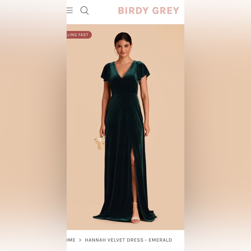 Birdy Grey Hannah Dress- Emerald Velvet Size Medium
